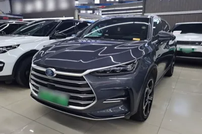 BYD Tang New Energy · 2021 год