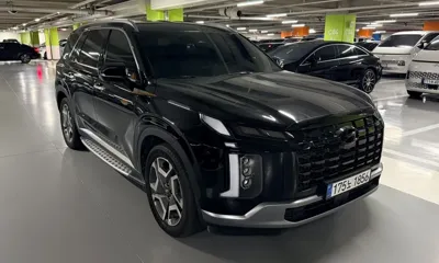 Hyundai Palisade · 2024 год