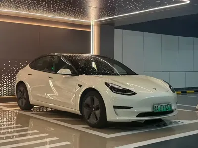 Tesla Model 3 2019, 49000 км, за 17559.54 USD