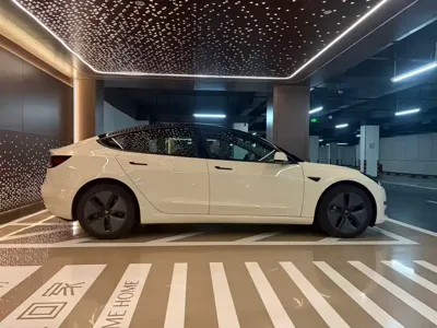 Tesla Model 3 2019, 49000 км, за 17559.54 USD - фото 13