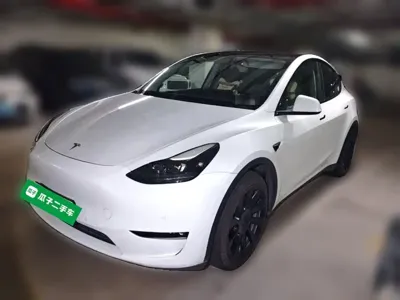 Tesla Model Y · 2021 год