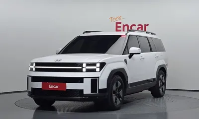 Hyundai Santafe · 2024 год