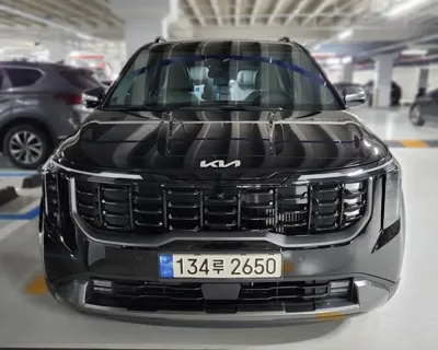 Kia Canival 2024, 17584 км, за 31465.81 USD