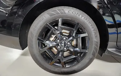 Kia Canival 2024, 17584 км, за 31465.81 USD