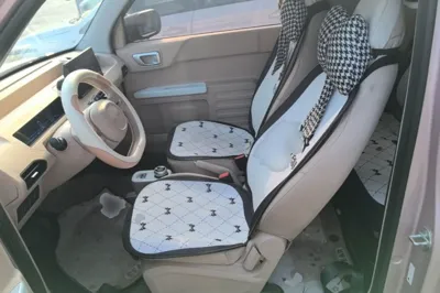 Geely Galaxy Panda