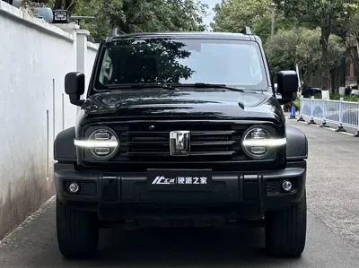 Tank Tank 300 2024, 48000 км, за 22859.99 USD