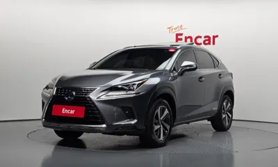 Lexus NX · 2018 год