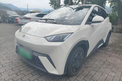 BYD Seagull · 2024 год