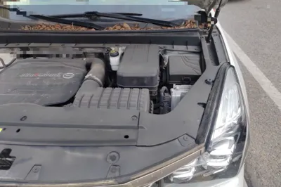 GAC Trumpchi GS8 2020, 77400 км, за 10160 USD - фото 22