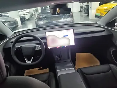 Tesla Model 3 2026, 100 км, за 34048.78 USD - фото 10
