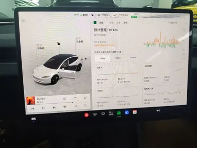 Tesla Model 3 2026, 100 км, за 34048.78 USD - фото 13