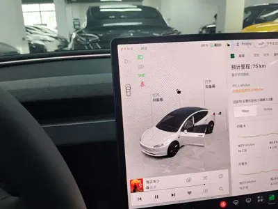 Tesla Model 3 2026, 100 км, за 34048.78 USD - фото 14