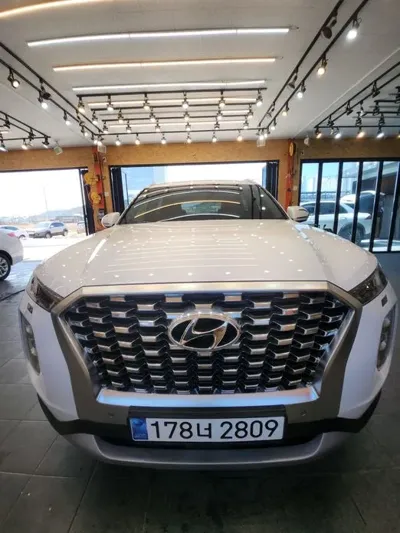 Hyundai Palisade · 2020 год