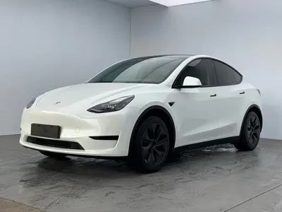 Tesla Model Y · 2024 год