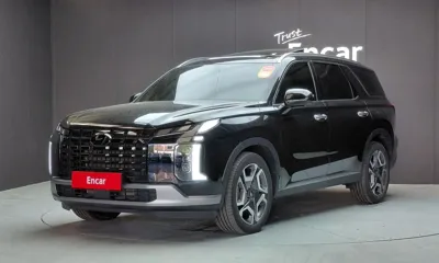 Hyundai Palisade · 2023 год