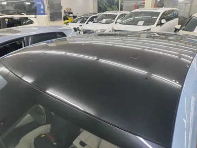 Denza N7