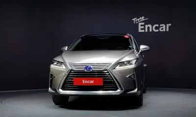 Lexus RX 2019, 74238 км, за 32551.92 USD