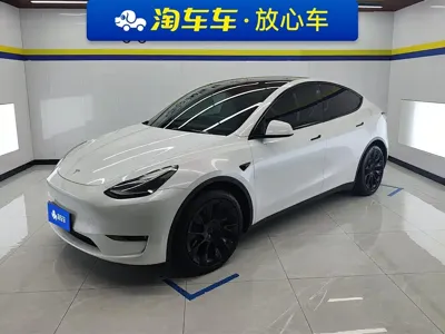 Tesla Model Y · 2021 год
