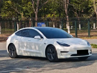 Tesla Model 3 2020, 50000 км, за 13725.66 USD