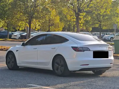 Tesla Model 3 2020, 50000 км, за 13725.66 USD - фото 8