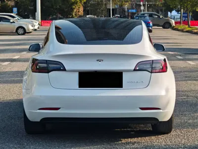 Tesla Model 3 2020, 50000 км, за 13725.66 USD - фото 10