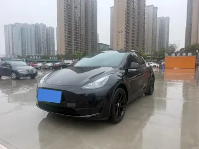 Tesla Model Y · 2024 год