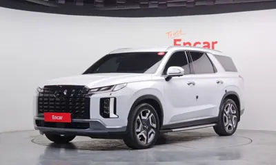 Hyundai Palisade · 2024 год