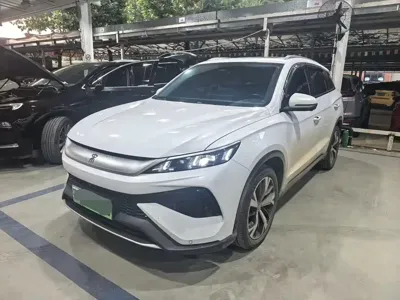 BYD Pro New Energy · 2024 год