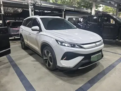 BYD Pro New Energy 2024, 60000 км, за 11741.97 USD