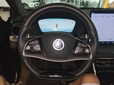 BYD Tang New Energy 2023, 33000 км, за 14770.67 USD - фото 11