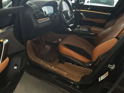 BYD Tang New Energy 2023, 33000 км, за 14770.67 USD - фото 16