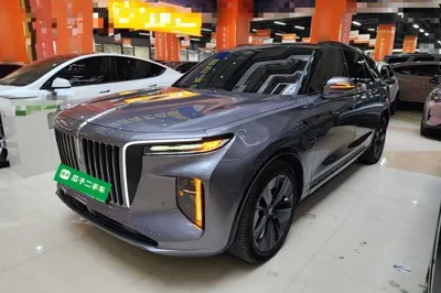 Hongqi E-HS9 · 2021 год
