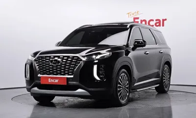 Hyundai Palisade · 2019 год
