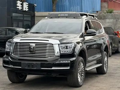 Tank Tank 500 New Energy 2025, 19000 км, за 46412.9 USD