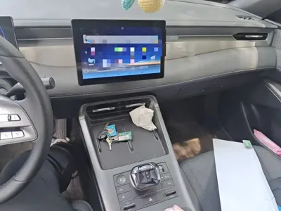 BYD Qin Plus 2025, 5600 км, за 8604.8 USD - фото 10