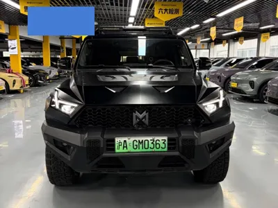 Mengshi Mengshi 917 2023, 31000 км, за 42081.17 USD