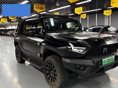 Mengshi Mengshi 917 2023, 31000 км, за 42081.17 USD