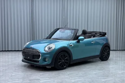 MINI MINI · 2016 год