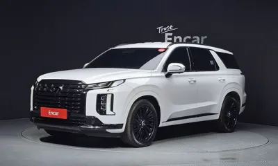 Hyundai Palisade · 2024 год