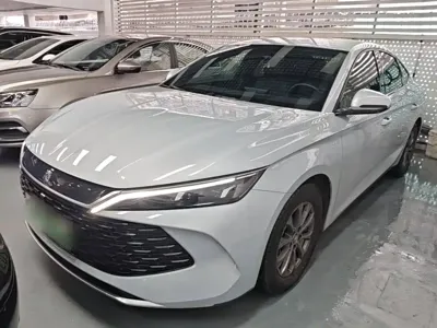 BYD Qin L · 2024 год