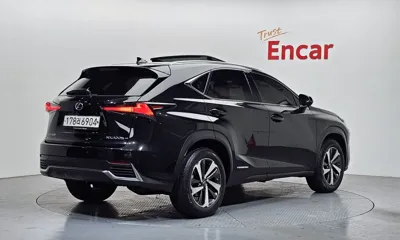 Lexus NX 2020, 50786 км, за 25702.01 USD