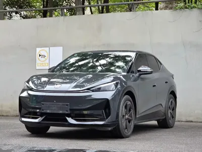 Volkswagen 06 · 2025 год