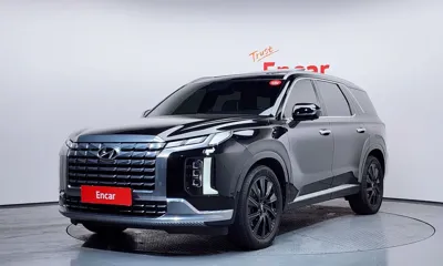 Hyundai Palisade · 2023 год