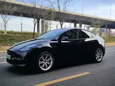 Tesla Model Y · 2023 год