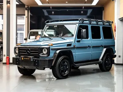 Mercedes-Benz G-Class · 2018 год