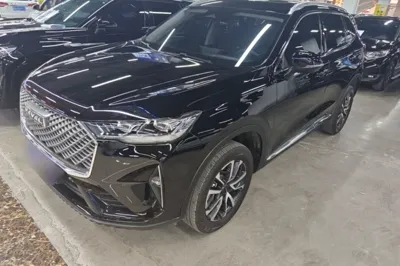 Haval H6 · 2022 год