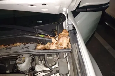 Toyota RAV4 2019, 43099 км, за 12561 USD - фото 22