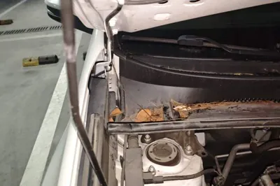 Toyota RAV4 2019, 43099 км, за 12561 USD - фото 23