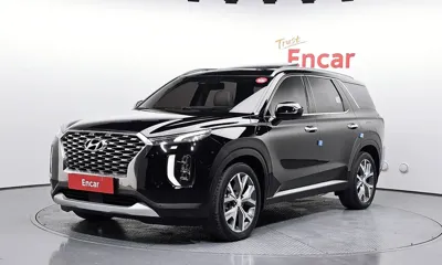 Hyundai Palisade · 2019 год
