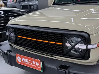 Tank Tank 300 New Energy 2025, 9200 км, за 29399.08 USD